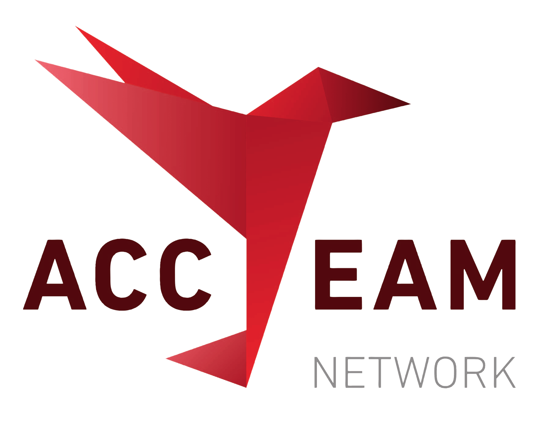 Logo AccTeam
