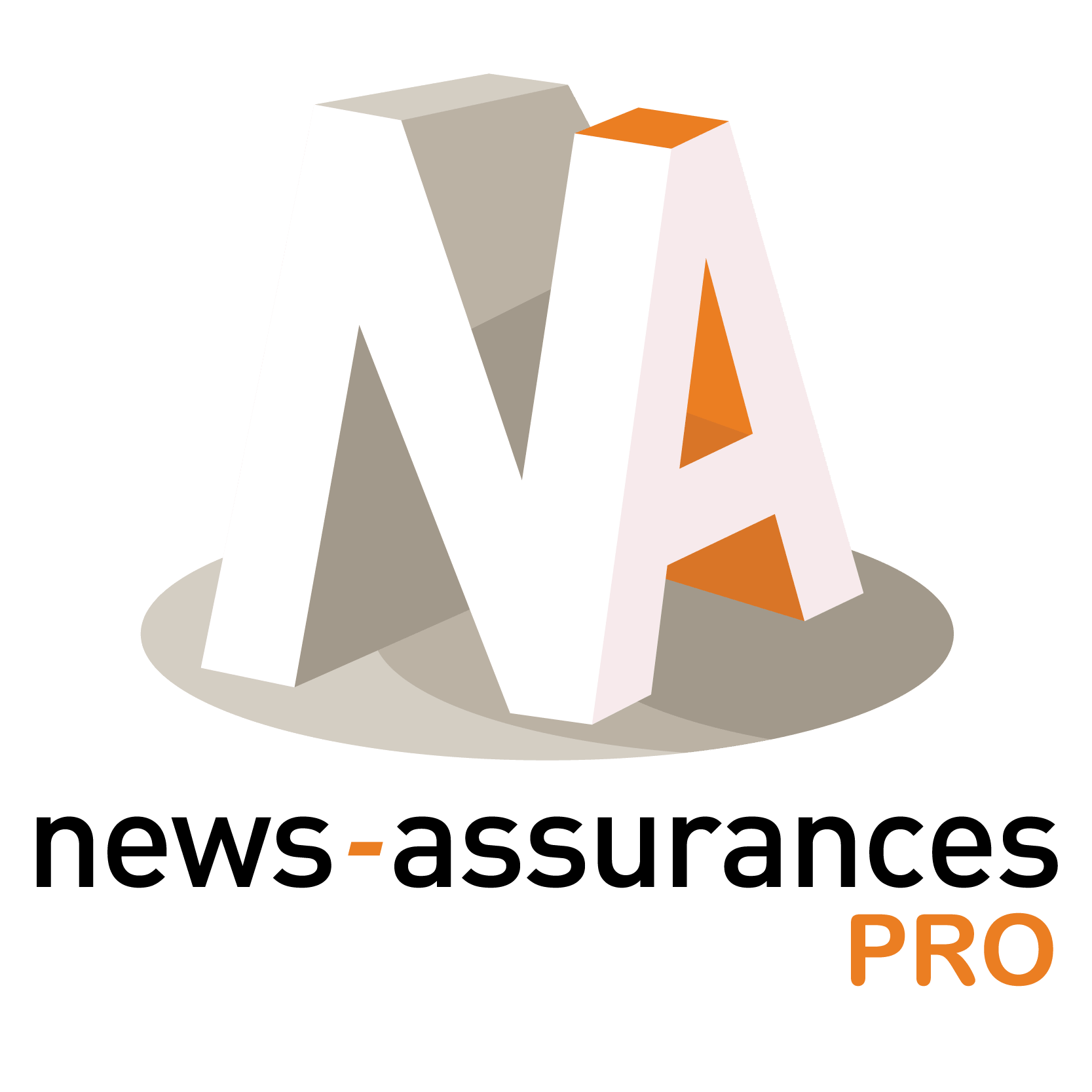 Logo News Assurances Pro